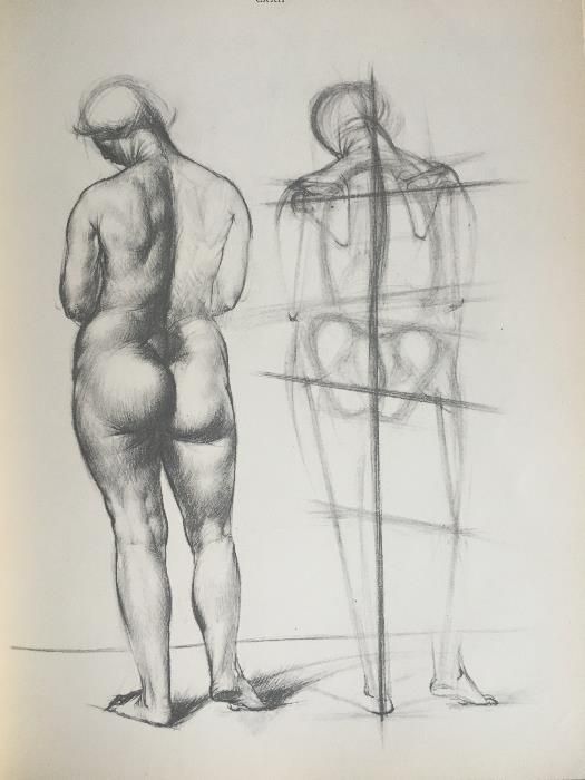 Анатомия для художников / Йене Барчаи, третье издание, 1959 год