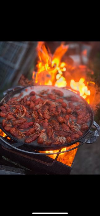 Раки! Всех размеров. Правый-Левый берег.