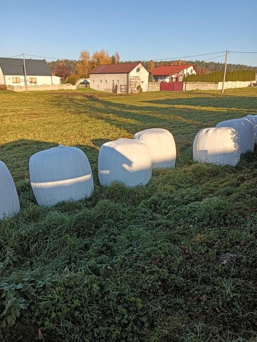 Sianokiszonka z trawy