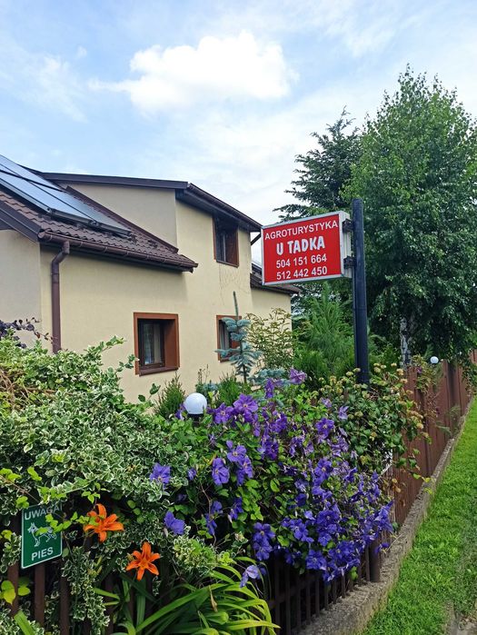 Tanie Noclegi Agroturystyka u Tadka