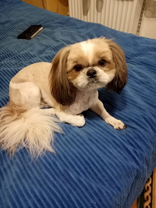 Гарний хлопчик шукає дівчинку