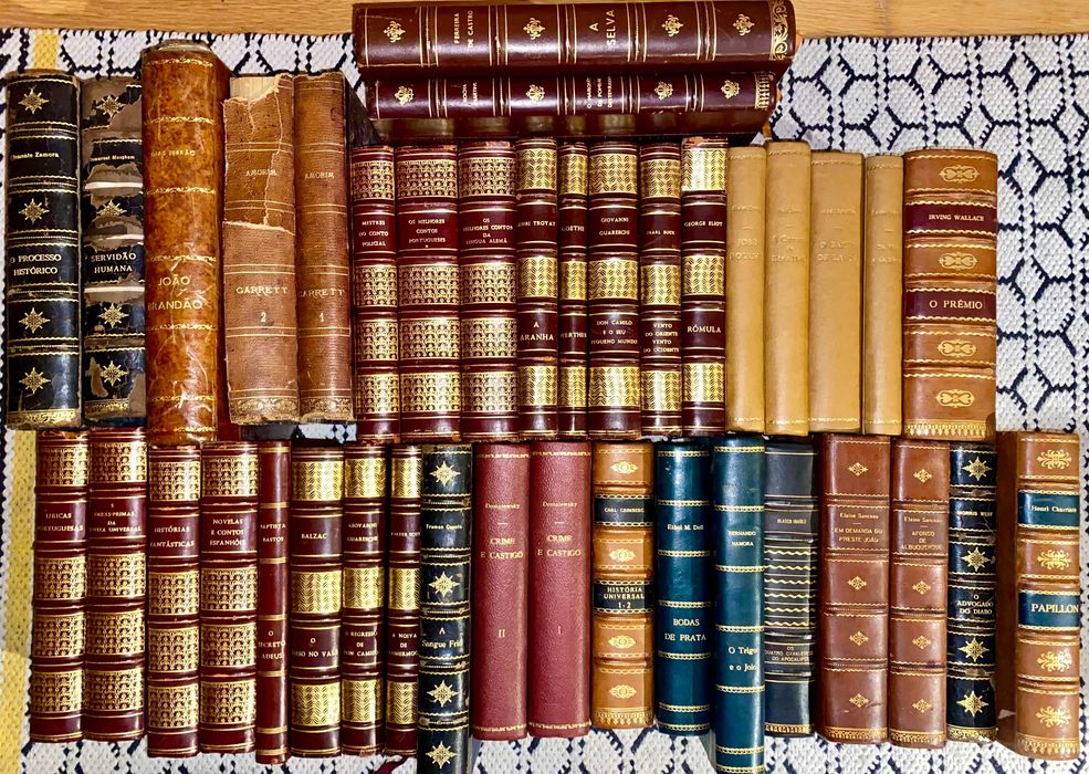Lote livros antigos literatura - raridades
