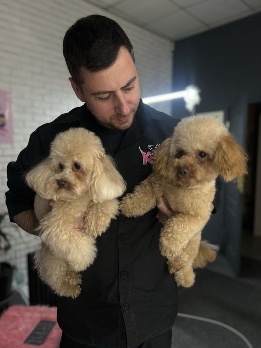 Ваш Грумер на Лівобережній | Стрижка собак | Тримінг | Роллінг | Линьк