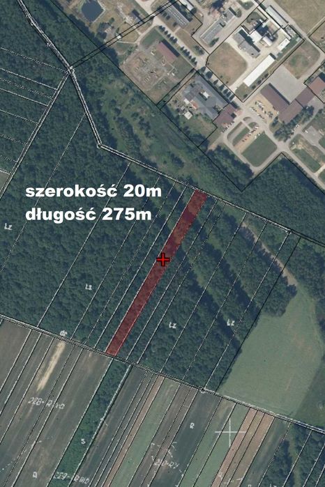 Las mieszany 0,55ha - Wierzbica gm. Tuczępy