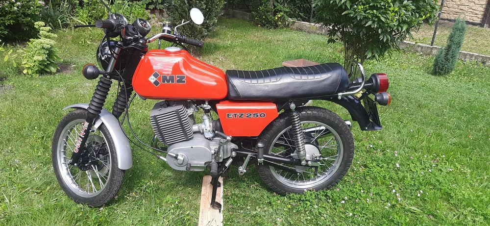 Mz