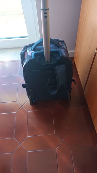 Troley escolar RPO DG