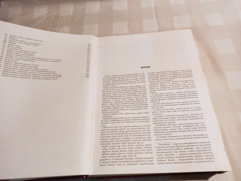 Słownik wyrazów obcych i zwrotów obcojezycznych z almanachem