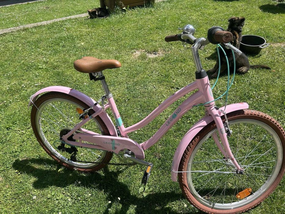 Rower le grand dziecięce