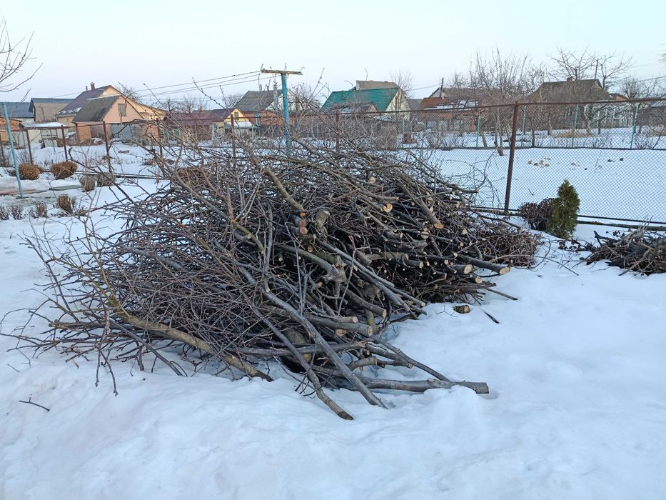 Безкоштовно гілки горіх під подрібнювач самовивіз дрова