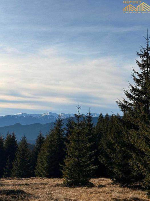 Верховина. Верховинський район. Карпати. Нерухомість. Земля