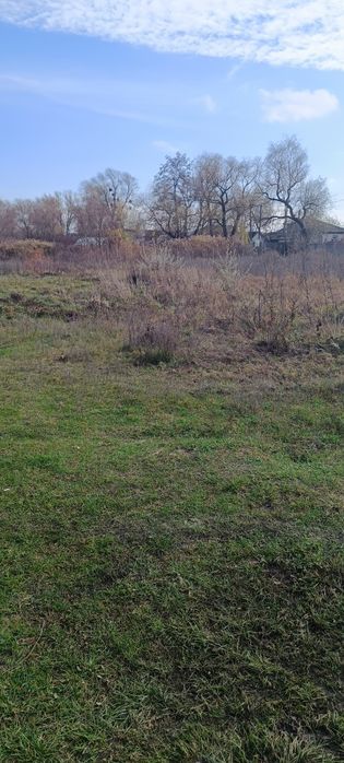 Продаж земельної ділянки  в Дахнівкі.