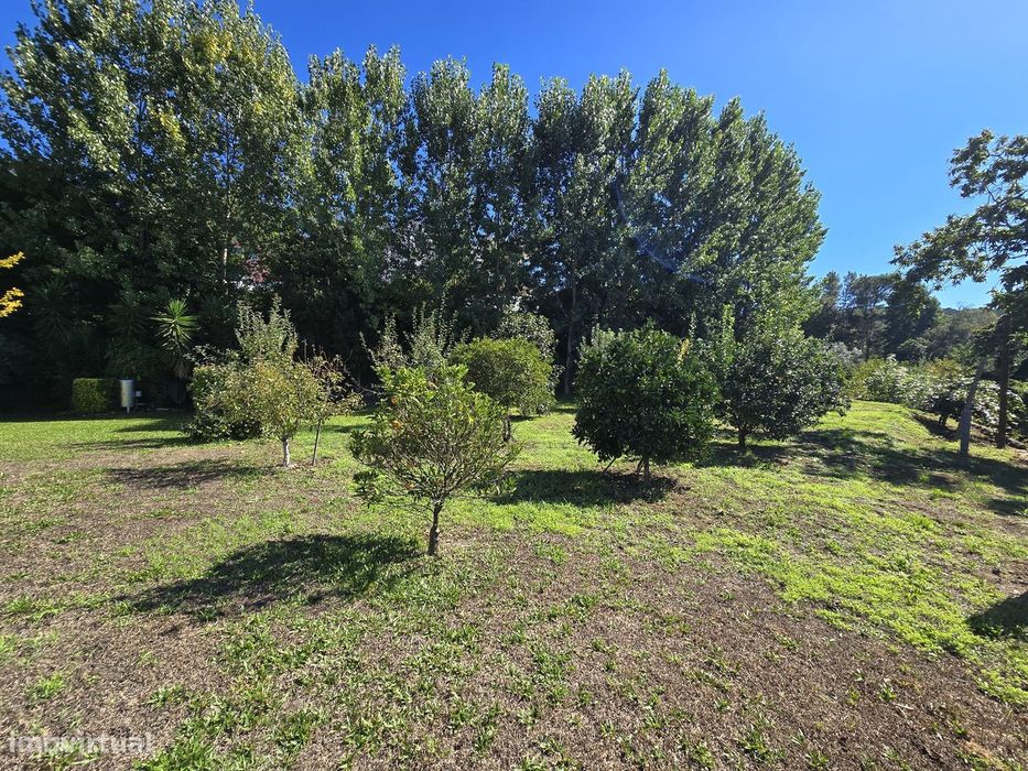 Moradia T5+1 em Ruilhe - 2680m2 de Terreno Privado
