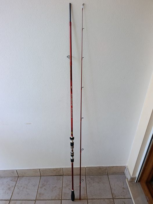 Cana pesca Hiro Rubini Rudis 3 metros