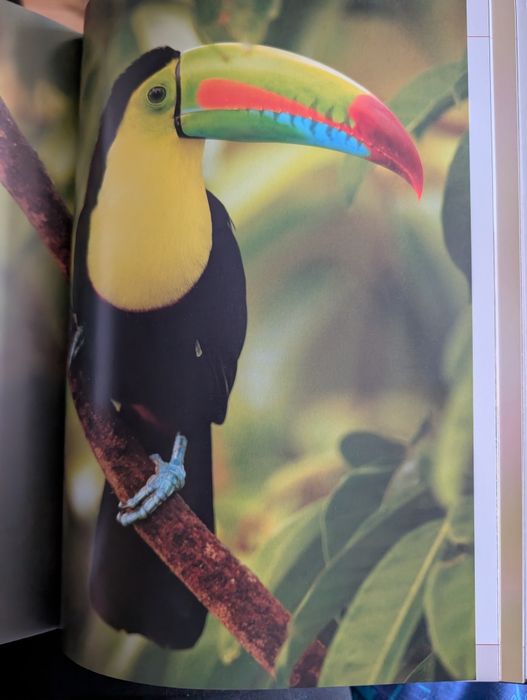 Świat zwierząt Studio Fenix