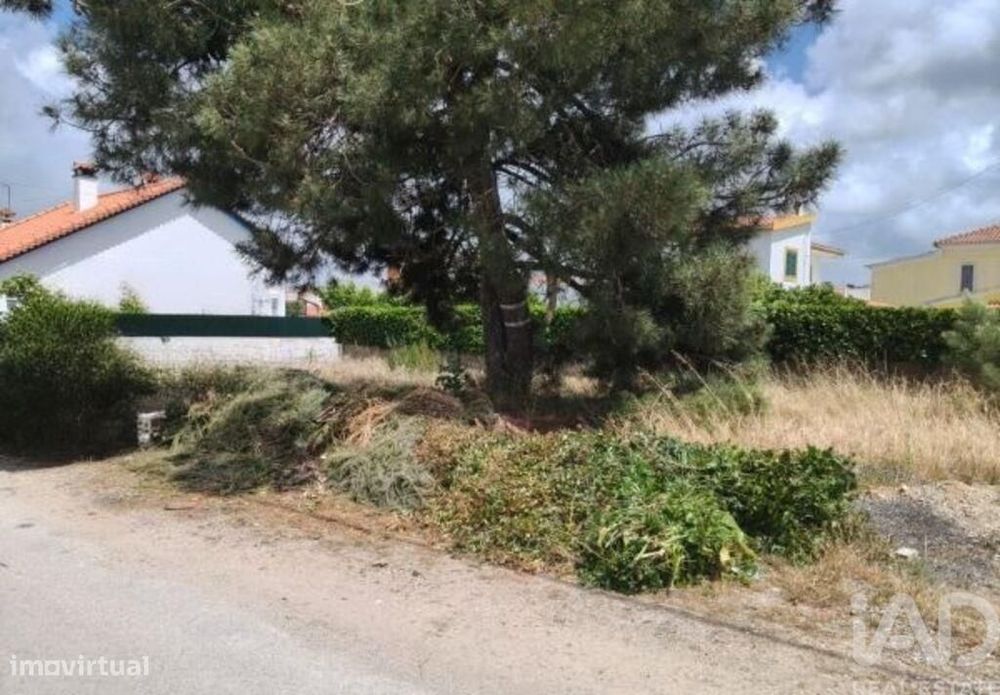 Terreno em Azeitão