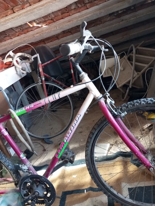 Bicicleta esm altina