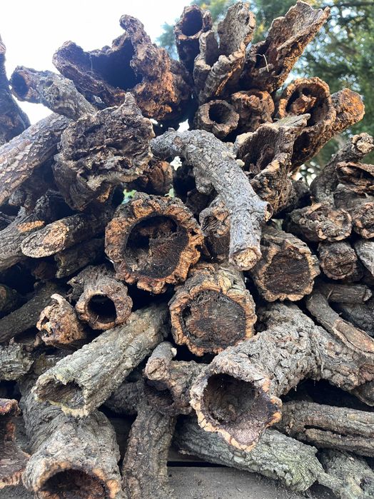 Casca de Sobreiro Ideal para Terrários e Decoração