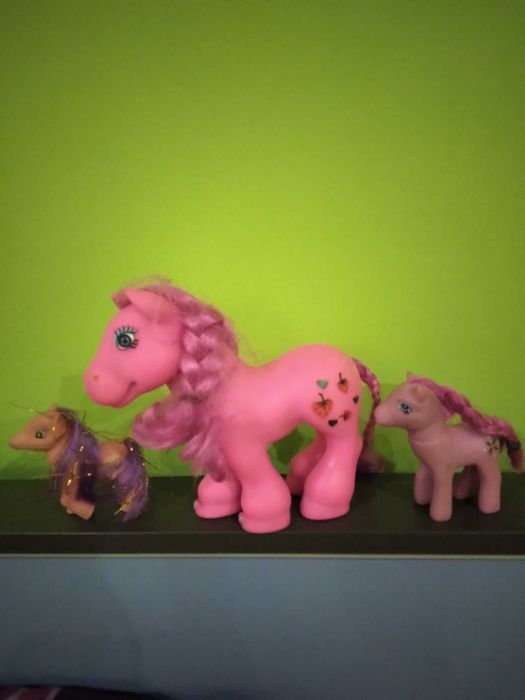 Piękne kolorowe kucyki