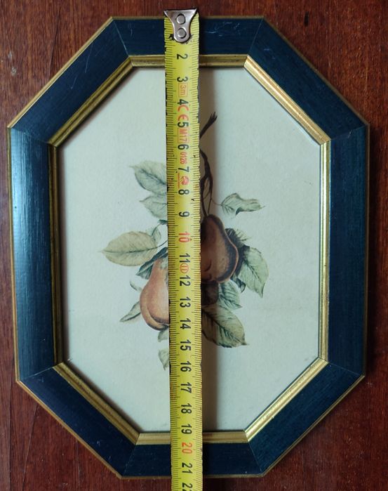 Conjunto de 4 quadros pequenos com frutas