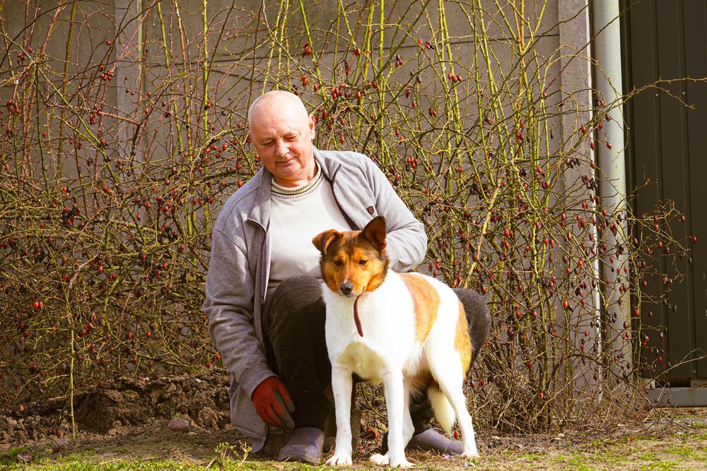 Kid - biało-rudy pies szuka domu