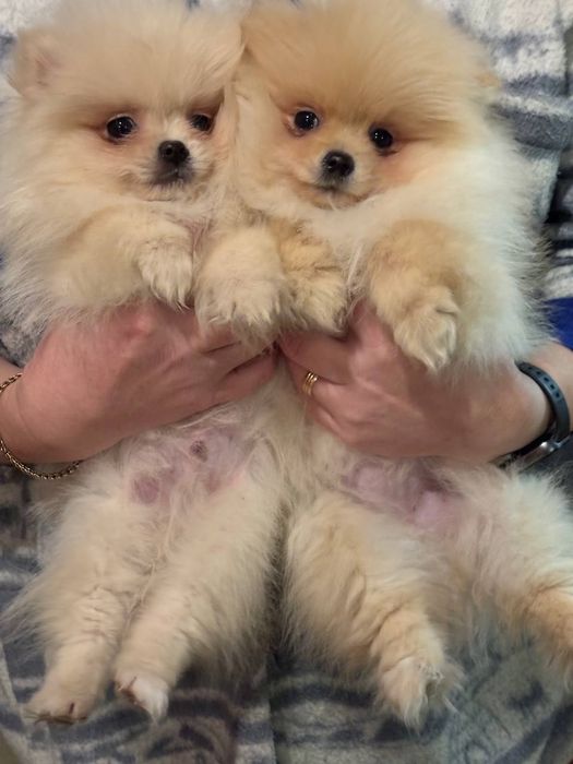 Супер детки)Привиты)