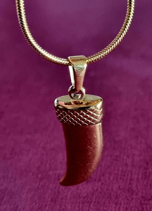 Colar dourado, em aço, com pingente em forma de corno.