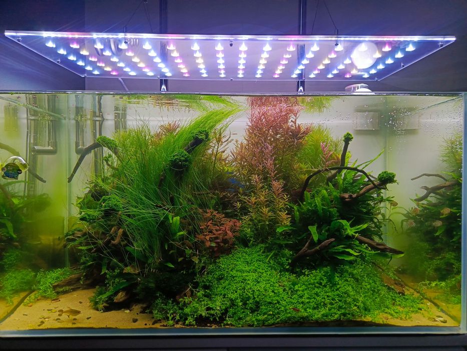 Lampa power LED 80 cm akwarium roślinne