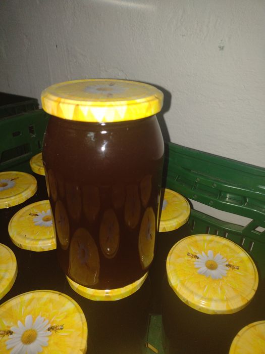 Miód naturalny okazja