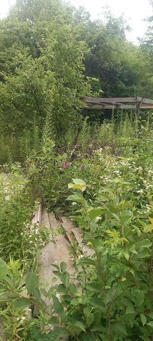 Дом по адресу ул. Таджицька (площадь 20 м²) - Atlanta.ua - фото 3