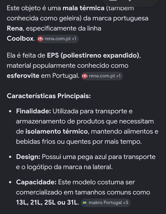 Mala térmica/geleira