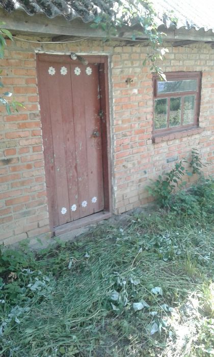 Продам будинок в с. Білки