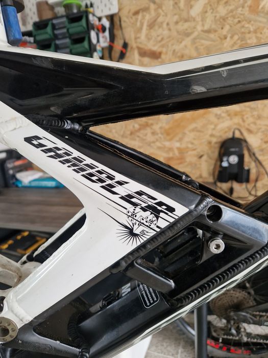 Quadro scott gambler