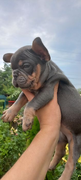 Супер мальчик ждёт Вас