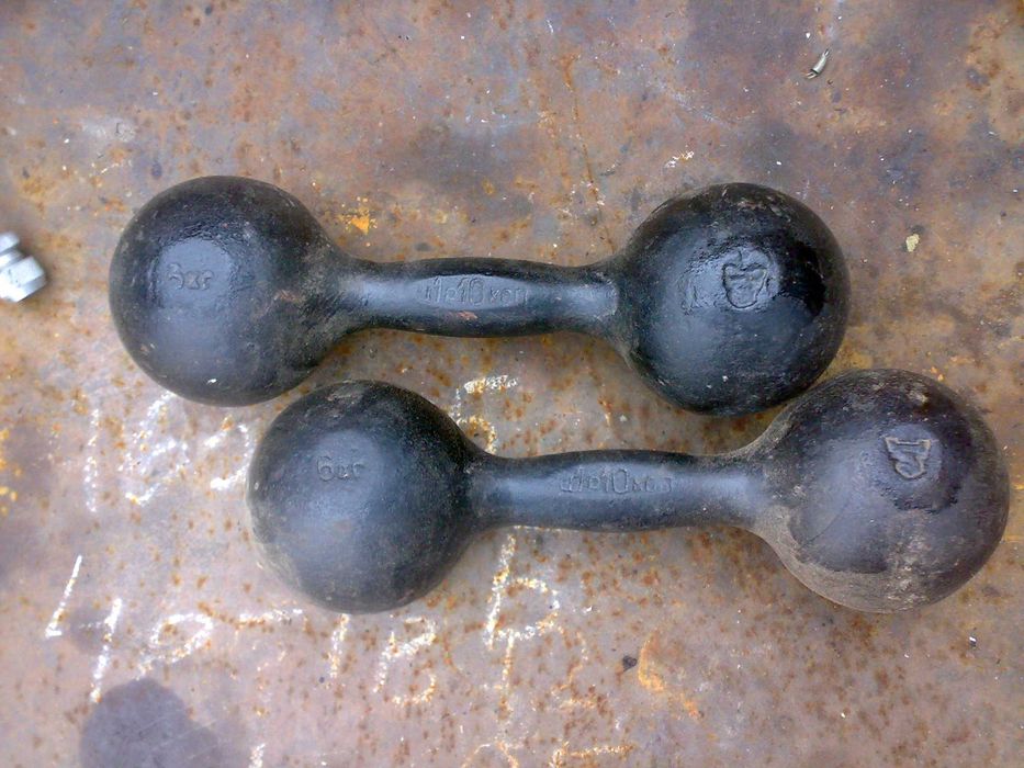 товары для школьников .гантели 10 кг