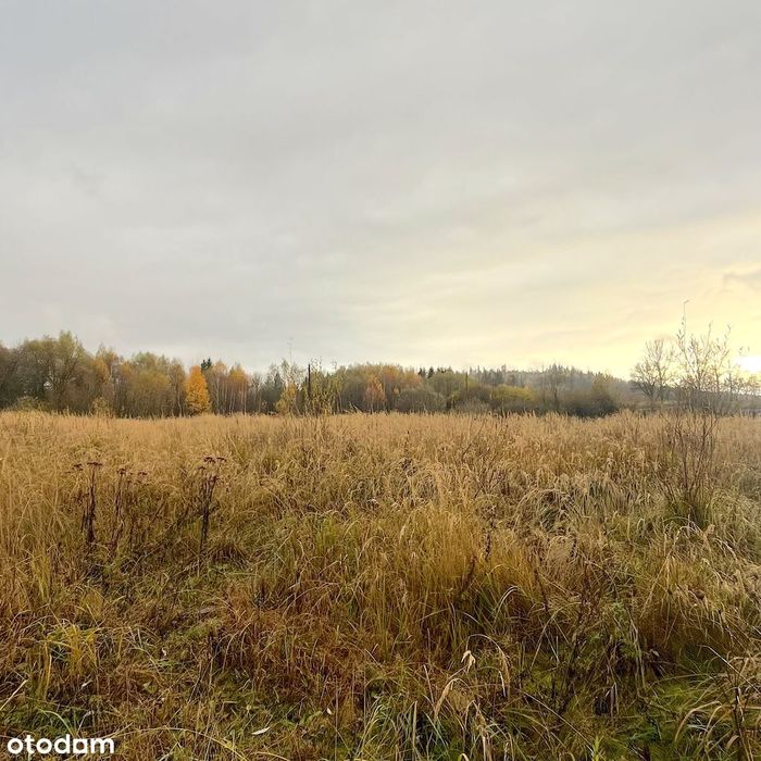Działka w rejonie górskim blisko Śnieżnika