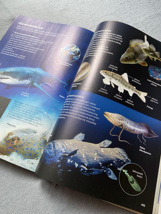 Biologia na czasie podręcznik zakres rozszerzony 2