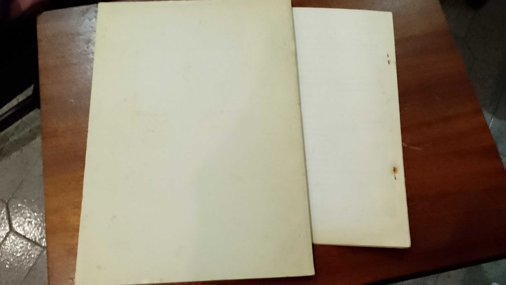 António Andrade Guimarães 2 Exemplares