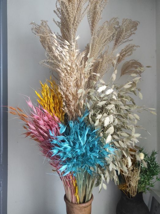 Сухоцвіти Льон.  Сухоцветы Просо кермек врсянка