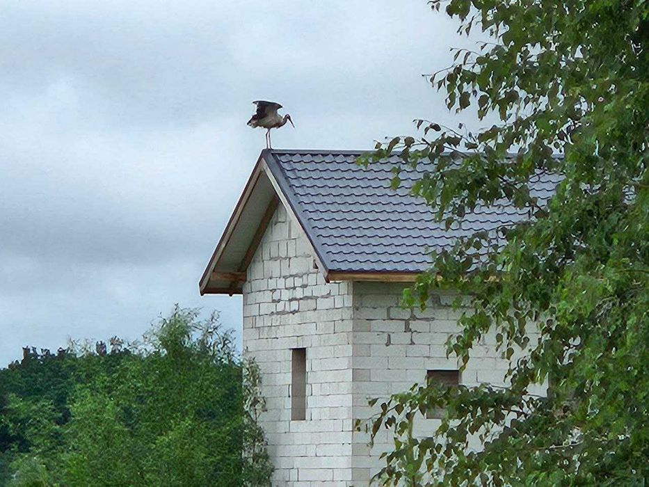 Будинок на 10 сотках в Горбовичах.