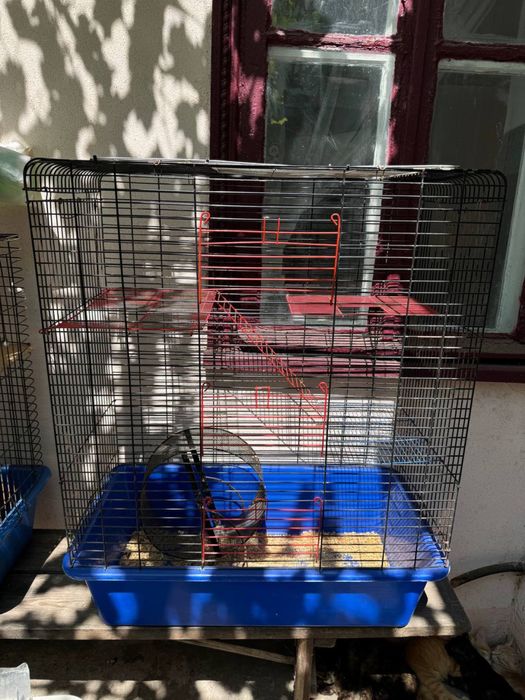 Кролики с клетками