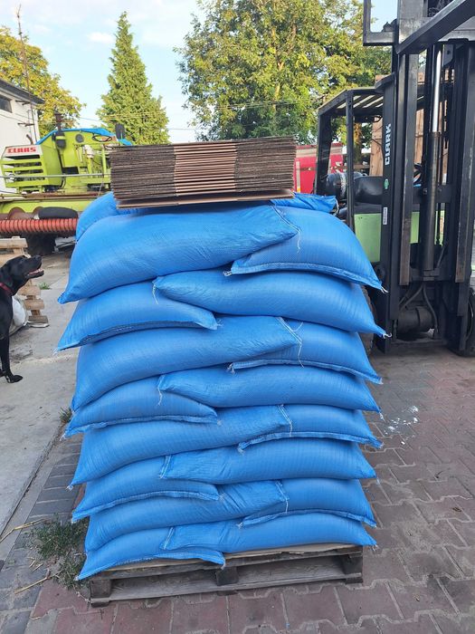 Lucerna  Worki Z Lucerną Sprzedam Lucernę Ziarno Lucerny Nasiona Dowóz