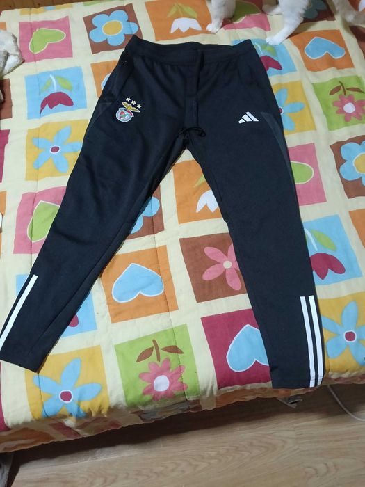 Camisola calças Benfica - ótimo preço