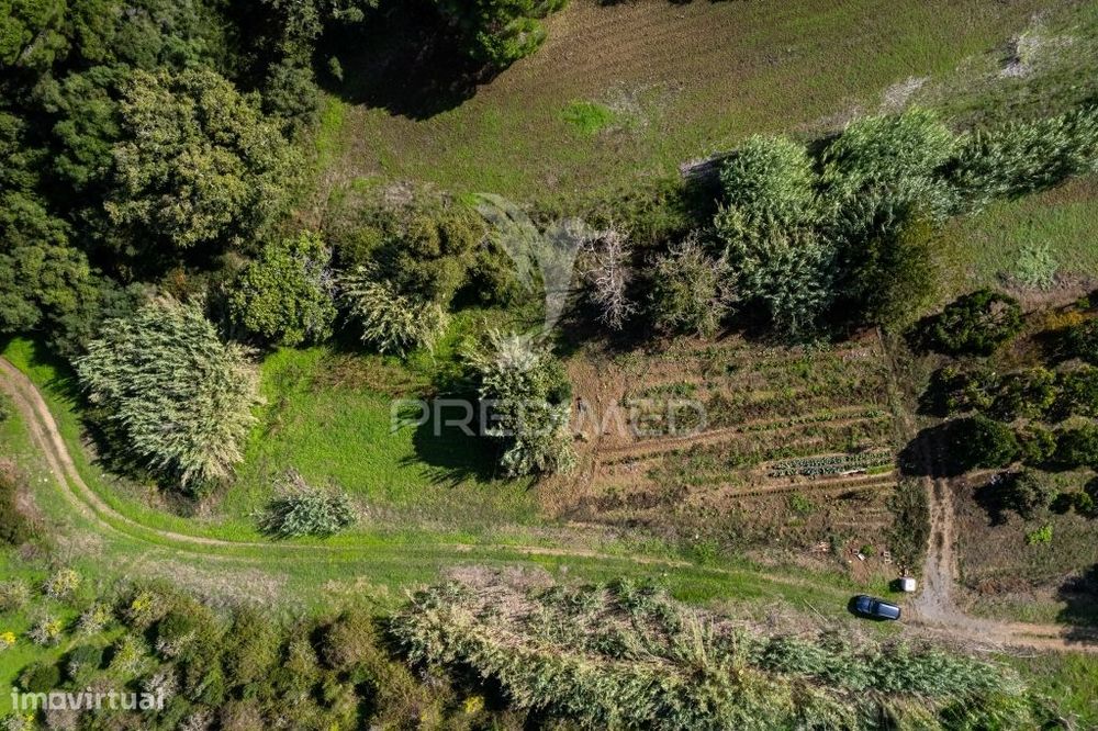 Terreno em Ademas, perto da Lagoa de Santo André — Santiago Do Cacém, Santa Cruz E São Bartolomeu Da Serra, Setúbal