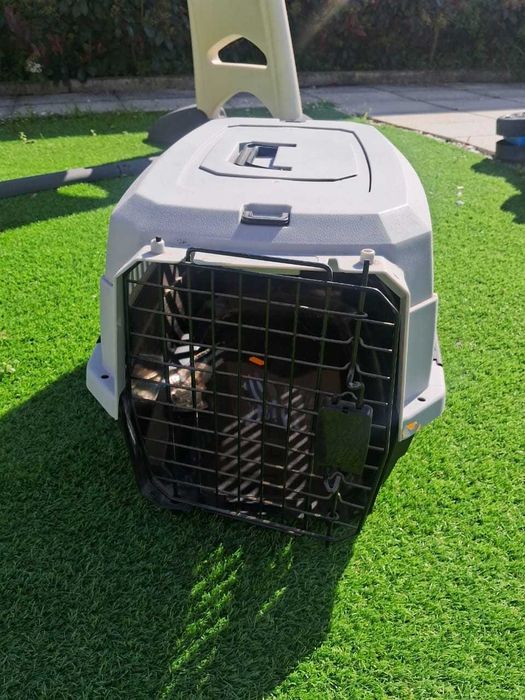 Transportadora pequena (cão)