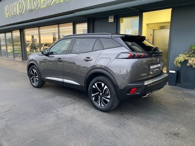 Motorista Particular/Transfer/Driver