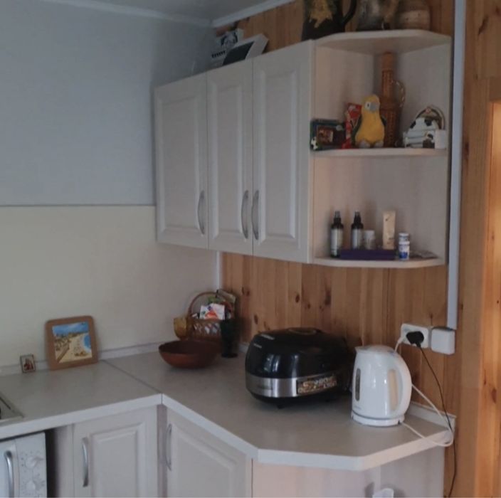 Колонщина. Будиночок з виходом на озеро