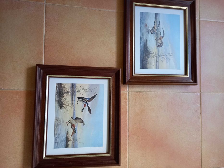Quadros decorativos de parede64550482990978122