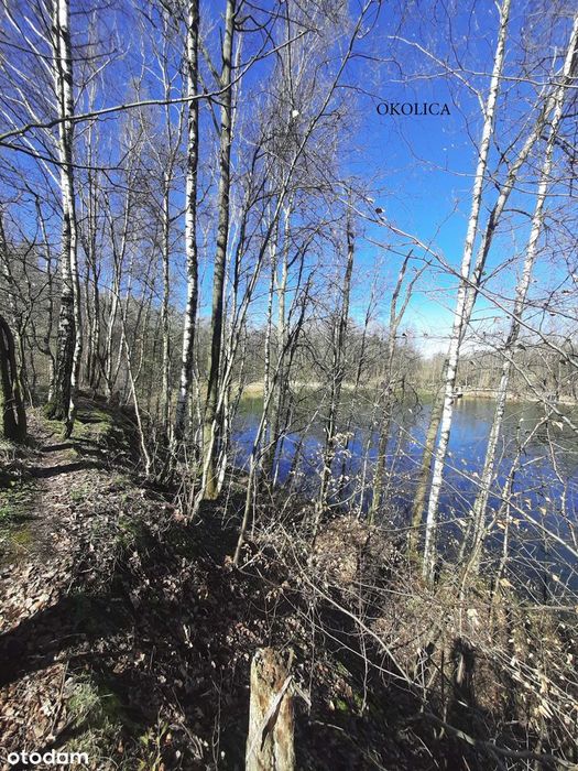 Pszczyna - Stara Wieś: działka budowlana - Widok 3