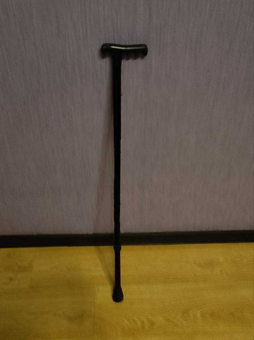 Тростина складна