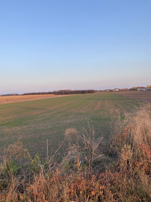 Działka inwestycyjna 1.7 ha